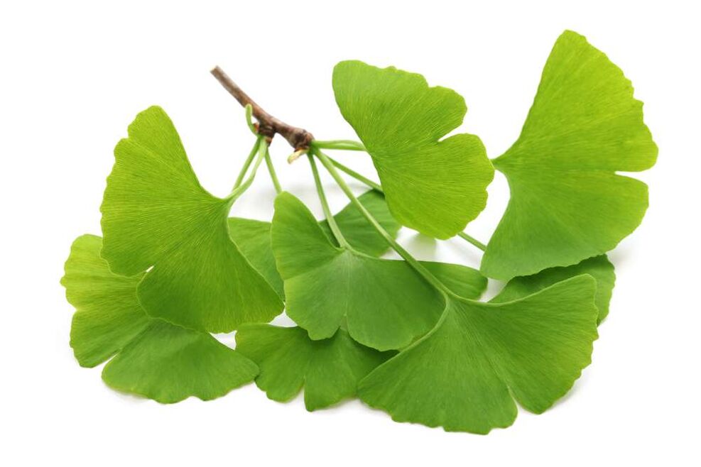 gingko biloba v kapsulah Glucoren